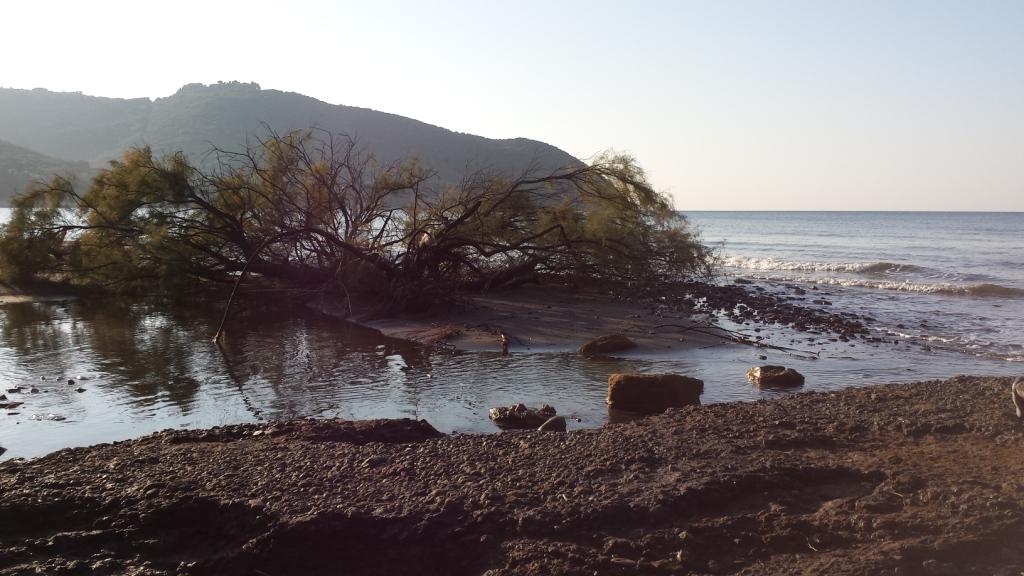 I fossi e lo stagno di Baratti (Piombino - LI)